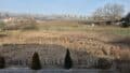 Blick zum Wald