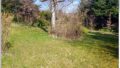 Garten-oben