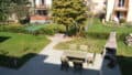 Geimeinschaftsgarten