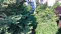 Ausblick Nord