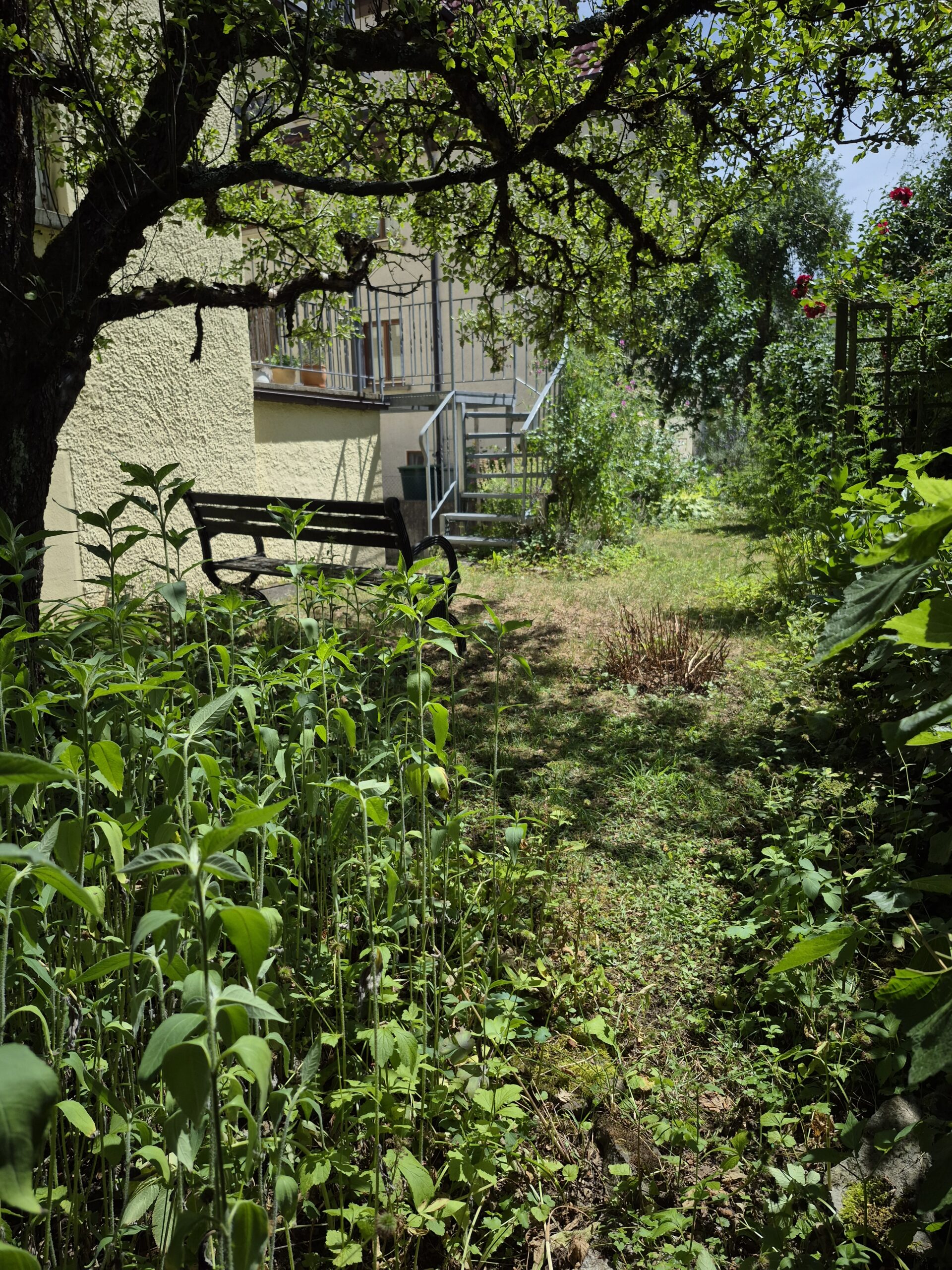 Garten Blick Süd