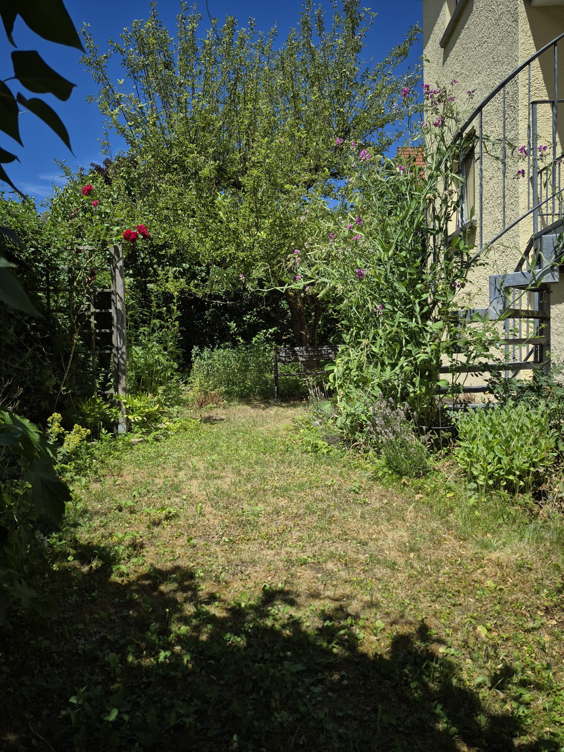 Garten mit Treppe Balkon EG