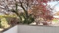 Balkon Nord-West