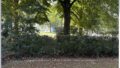 Ausblick Terrasse
